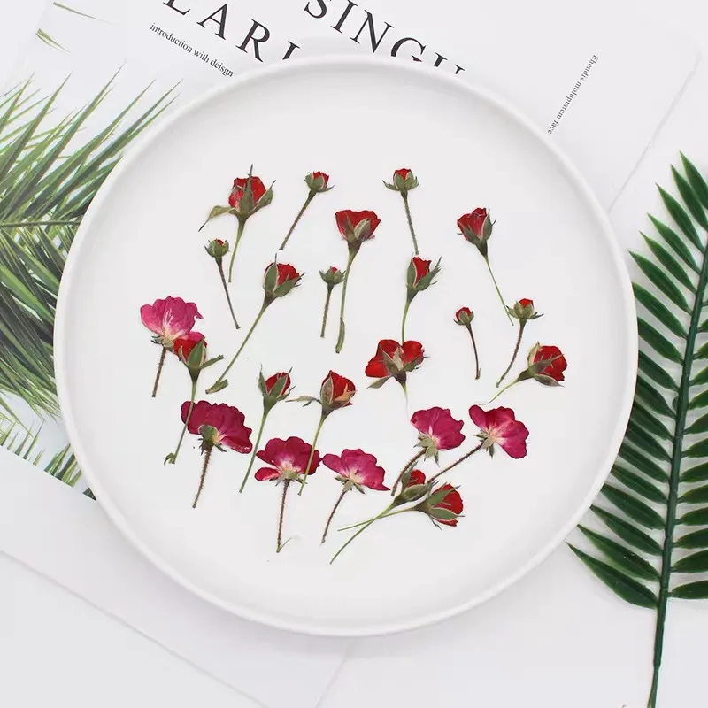 Dried Flower Bookmark - 60 шт., сухие боковые прессованные красные/фиолетовые/розовые/желтые