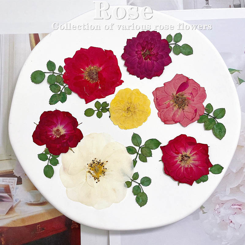 Dried Flower Bookmark - прессованные сушеные красные, желтые, розовые розовые
