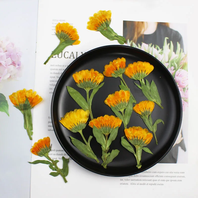 60 шт., 4-6 см – обзор и цена Dried Flower Bookmark