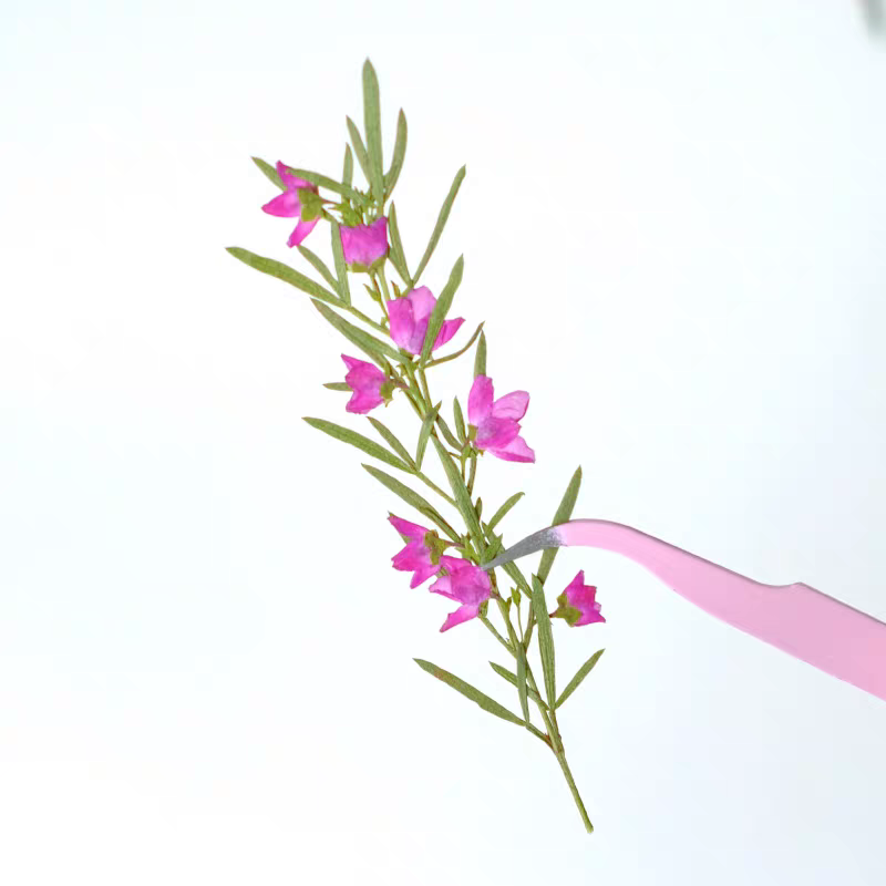 100 шт. прессованных сушеных ц – обзор и цена Dried Flower Bookmark