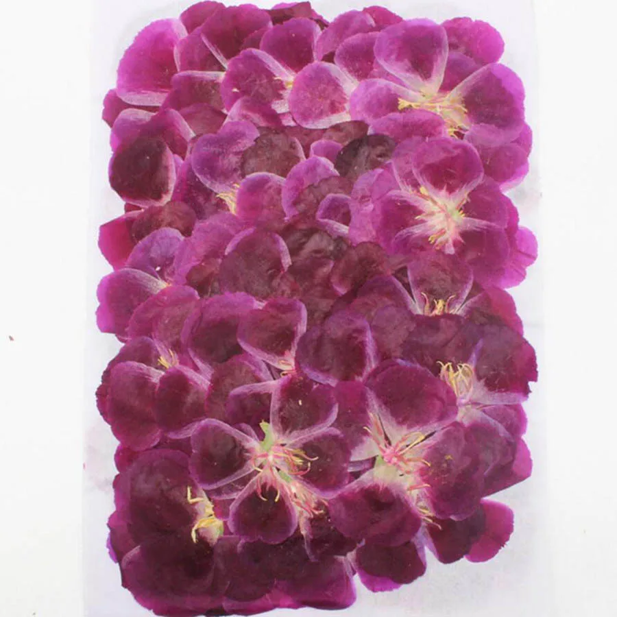 60 шт., размер: 4-7 см прессов – обзор и цена Dried Flower Bookmark