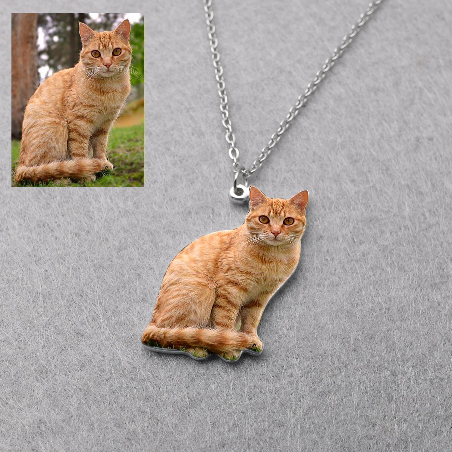 Персонализированное ожерелье с – обзор и цена Pet Portrait Custom