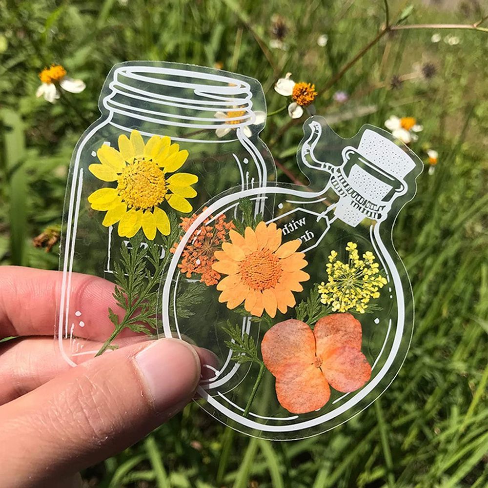 Прозрачные засушенные Цветочны – обзор и цена Dried Flower Bookmark